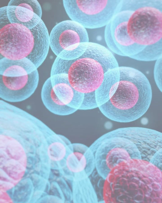 Graphic depicting stem cells in blue and pink coloring