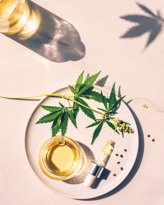 CBD leafs on a plate with a jar and dropper filler with CBD oil